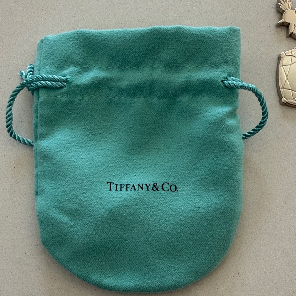 Tiffany & Co. Teal Pouch